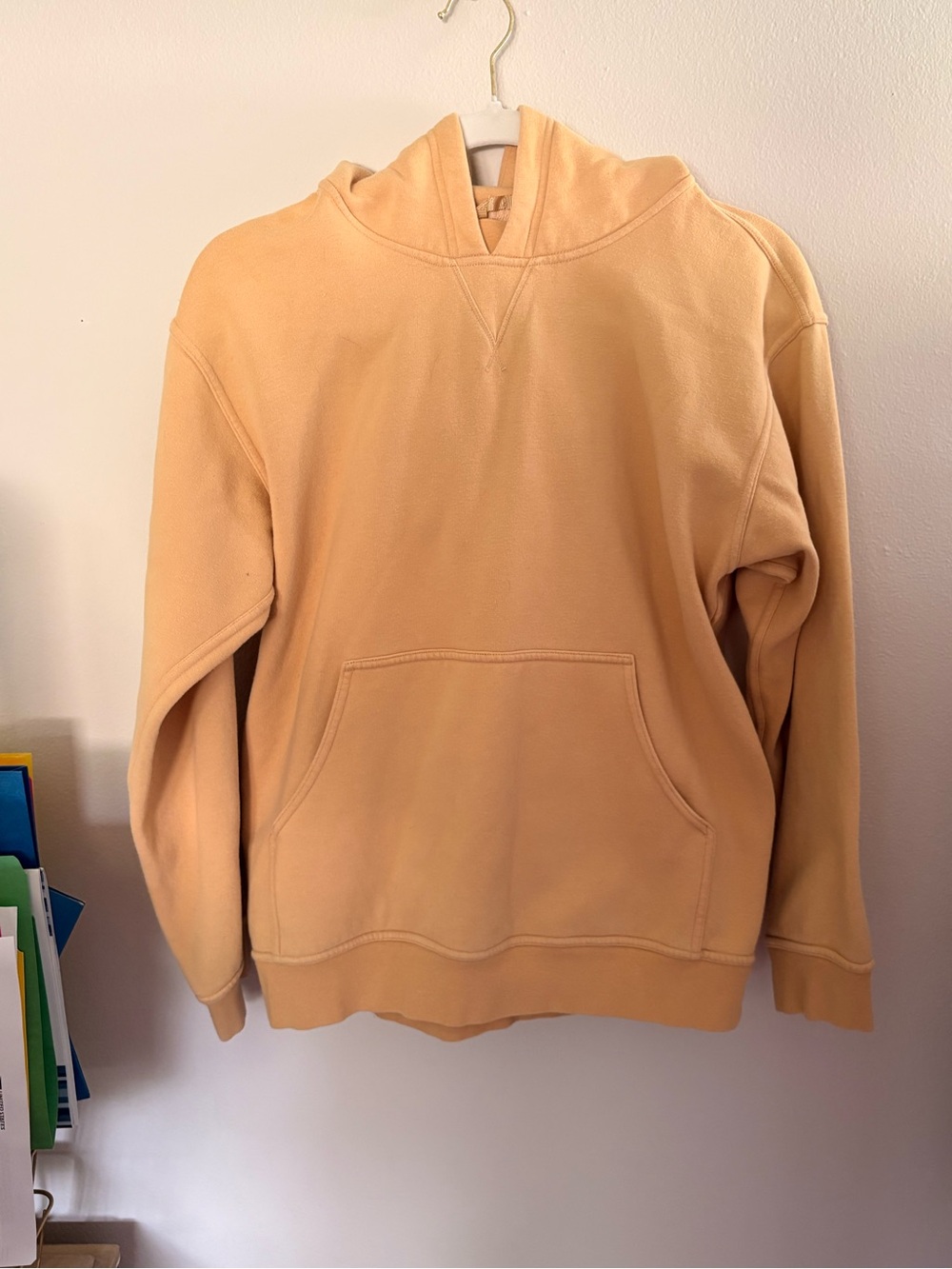 lululemon athletica Peach Pullover Hoodie
